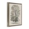 Stupell Industries Vintage Farmhouse Tall Tree Floating Frame, design by Riley B
